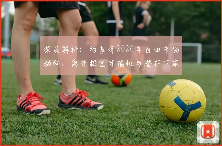 深度解析:约基奇2026年自由市场动向,离开掘金可能性与潜在下家球队预测